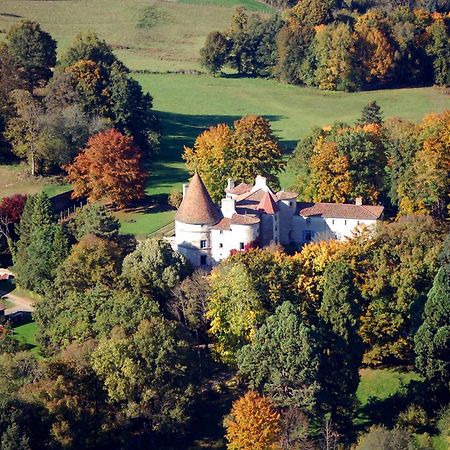 Chateau Des Martinanches Saint-Dier-d'Auvergne Экстерьер фото