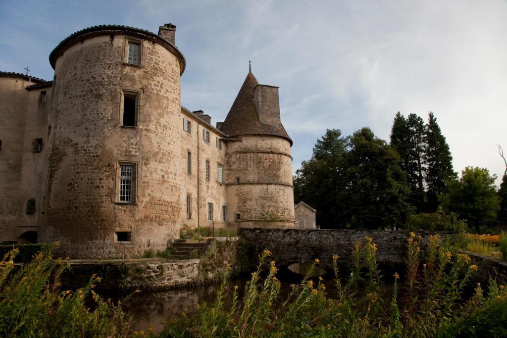 Chateau Des Martinanches Saint-Dier-d'Auvergne Экстерьер фото