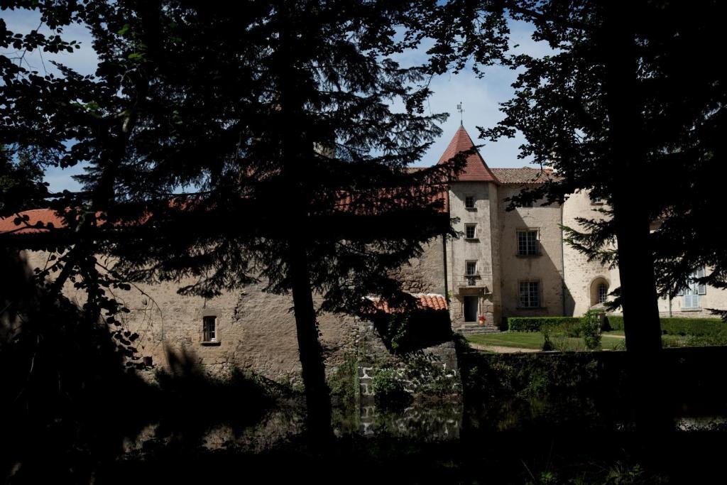 Chateau Des Martinanches Saint-Dier-d'Auvergne Экстерьер фото