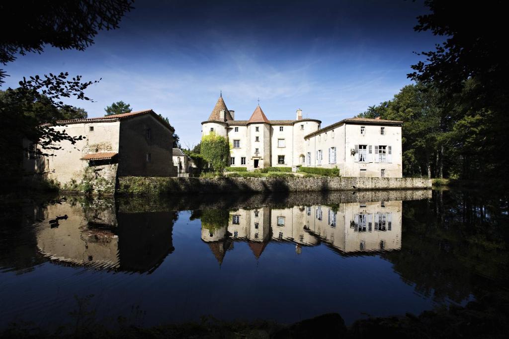 Chateau Des Martinanches Saint-Dier-d'Auvergne Экстерьер фото